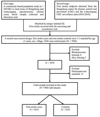 The Relative Contribution of Plasma Homocysteine Levels vs. Traditional Risk Factors to the First Stroke: A Nested Case-Control Study in Rural China